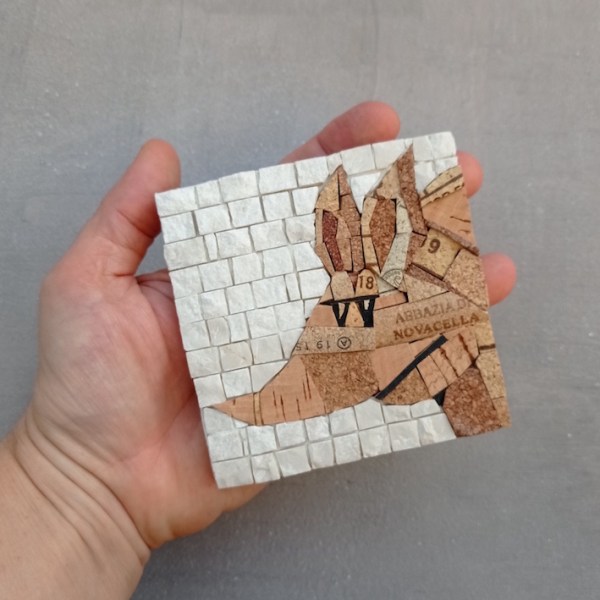 Zerocalcare e armadillo